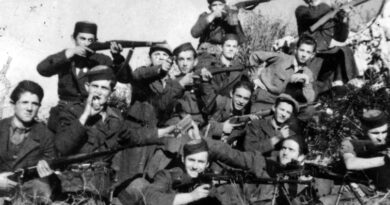 DRVAR 27. JUL 1941. – ustanak ili osveta DRVAR 27. JUL 1941. – ustanak ili osveta