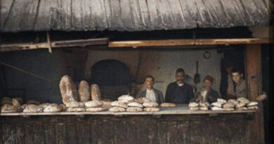 TRADICIJA PEKARA U BOSNI I HERCEGOVINI TRADICIJA PEKARA U BOSNI I HERCEGOVINI