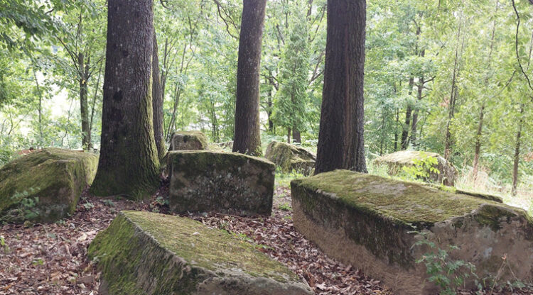 NEKROPOLA “PASIJI GROBOVI” NEKROPOLA “PASIJI GROBOVI”