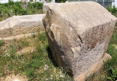 NEKROPOLA STEĆAKA U SNIJEŽNICI NEKROPOLA STEĆAKA U SNIJEŽNICI